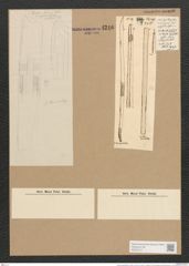 Nitzschia spectabilis (Ehr.) Ralfs. (de-Toni-Nr.: Genus 47, Species 2110) Zeichnungen Sammlung Grunow Nr. 4216 (NHMW-BOT-W0372147)